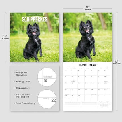 Red Robin Schipperke Kalender 2026