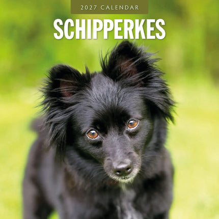 Red Robin Schipperke Kalender 2027