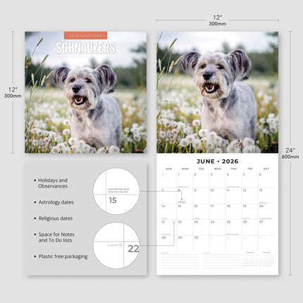 Red Robin Schnauzer Kalender 2026