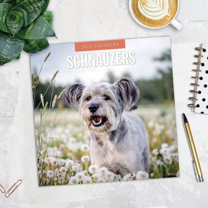 Red Robin Schnauzer Kalender 2026