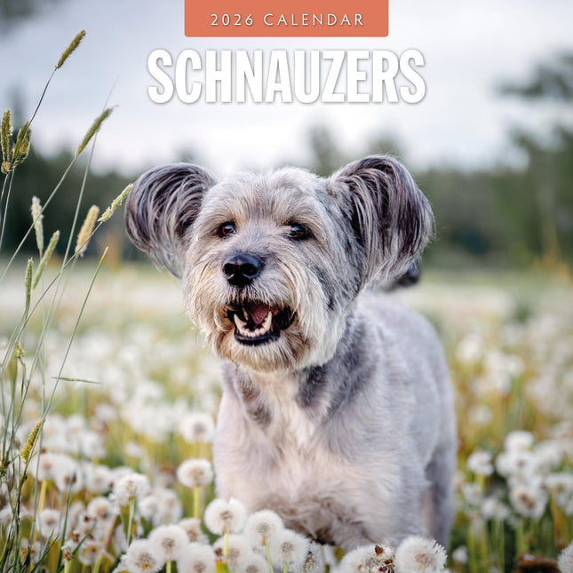 Red Robin Schnauzer Kalender 2026