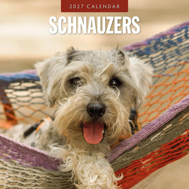 Red Robin Schnauzer Kalender 2027