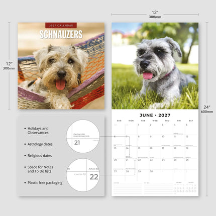Red Robin Schnauzer Kalender 2027