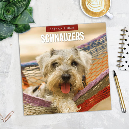 Red Robin Schnauzer Kalender 2027