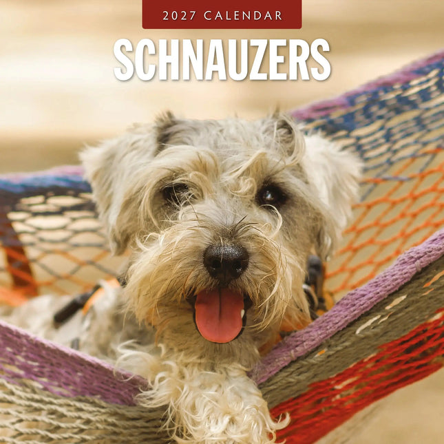 Red Robin Schnauzer Kalender 2027