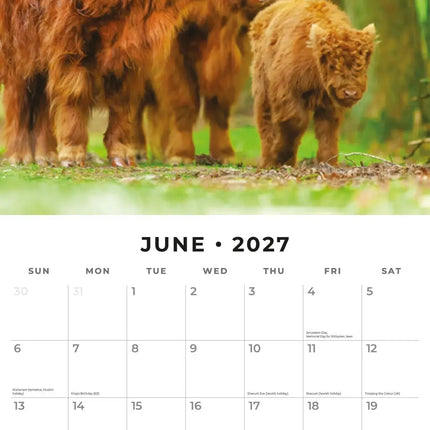 Red Robin Schotse Hooglanders Kalender 2027