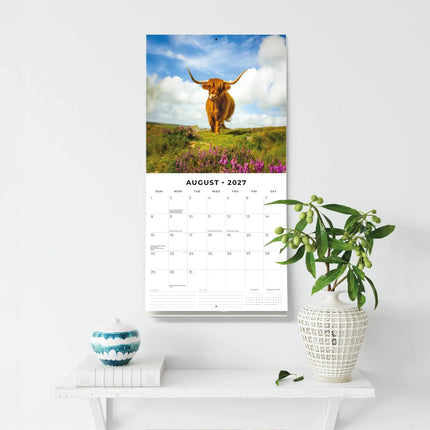 Red Robin Schotse Hooglanders Kalender 2027