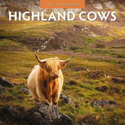 Red Robin Schotse Hooglanders Kalender 2027