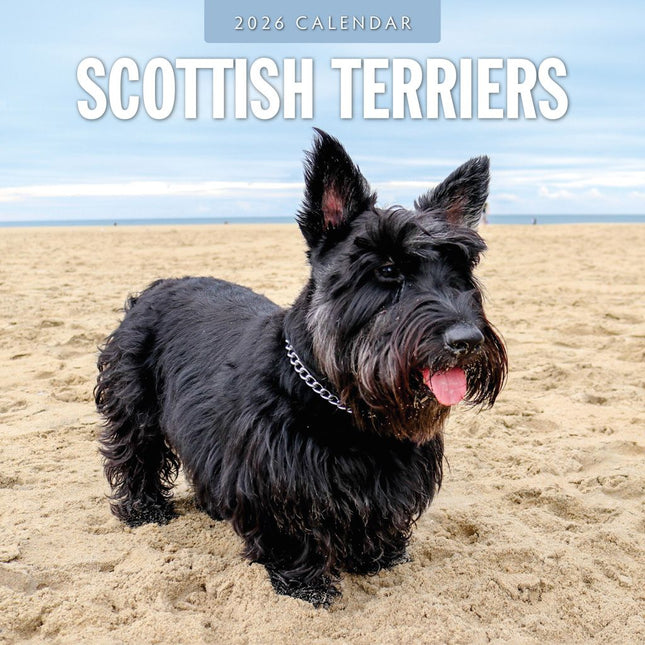 Red Robin Schotse Terrier Kalender 2026
