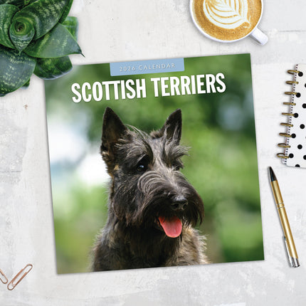 Red Robin Schotse Terrier Kalender 2026