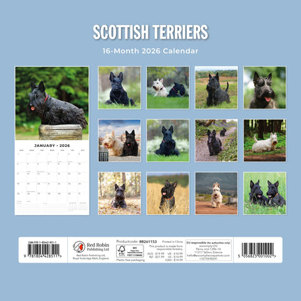 Red Robin Schotse Terrier Kalender 2026