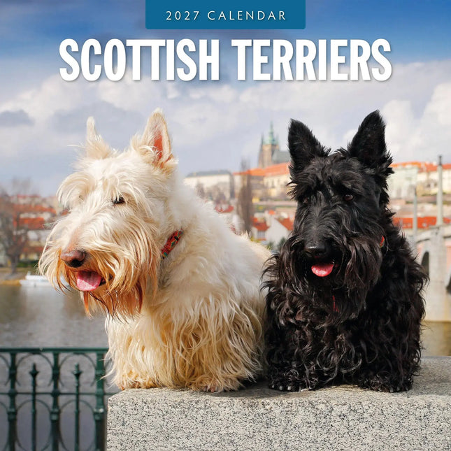 Red Robin Schotse Terrier Kalender 2027
