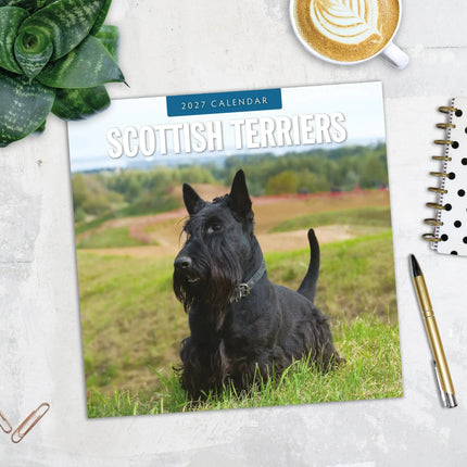 Red Robin Schotse Terrier Kalender 2027