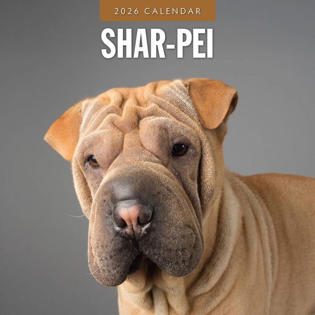 Red Robin Shar Pei Kalender 2026