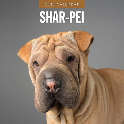 Red Robin Shar Pei Kalender 2026