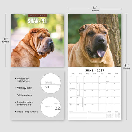 Red Robin Shar Pei Kalender 2027