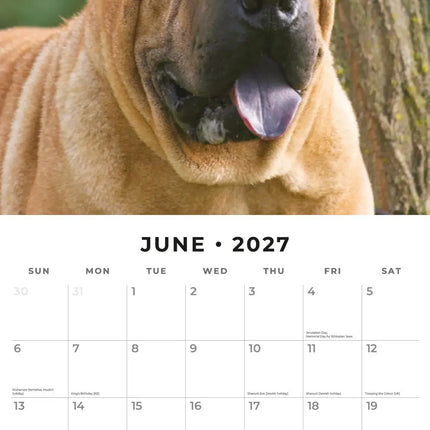 Red Robin Shar Pei Kalender 2027