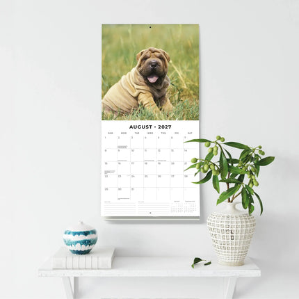 Red Robin Shar Pei Kalender 2027