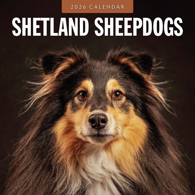 Red Robin Shetland Sheepdog Kalender 2026