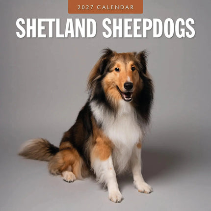 Red Robin Shetland Sheepdog Kalender 2027