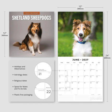 Red Robin Shetland Sheepdog Kalender 2027