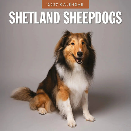 Red Robin Shetland Sheepdog Kalender 2027