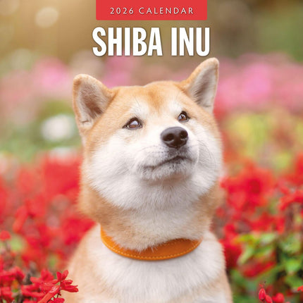 Red Robin Shiba Inu Kalender 2026