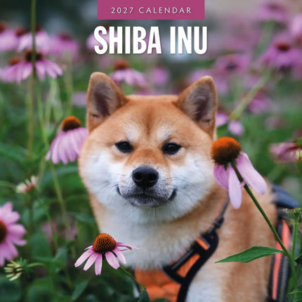 Red Robin Shiba Inu Kalender 2027