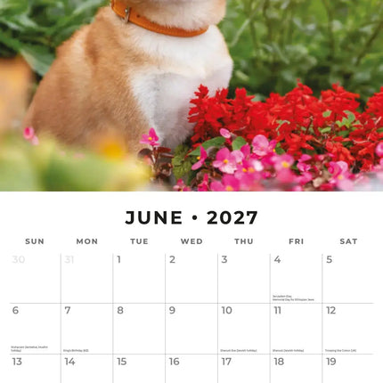 Red Robin Shiba Inu Kalender 2027