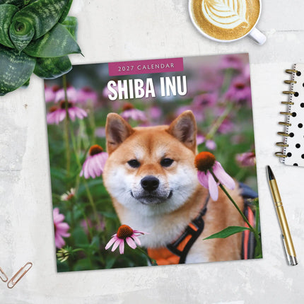 Red Robin Shiba Inu Kalender 2027