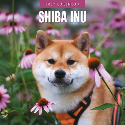 Red Robin Shiba Inu Kalender 2027