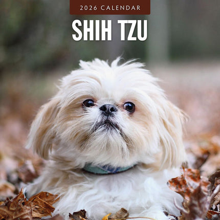 Red Robin Shih Tzu Kalender 2026