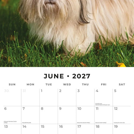 Red Robin Shih Tzu Kalender 2027