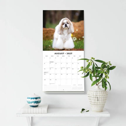 Red Robin Shih Tzu Kalender 2027