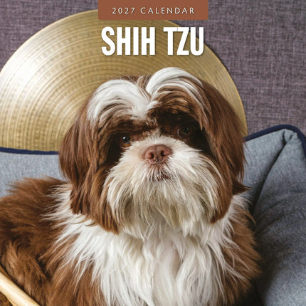 Red Robin Shih Tzu Kalender 2027