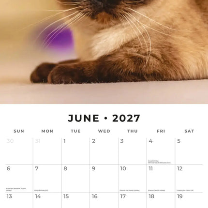 Red Robin Siamees Kalender 2027