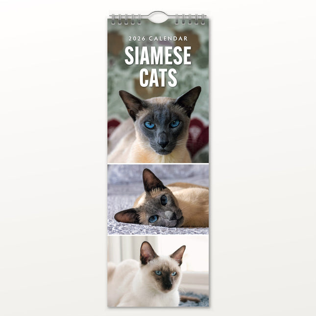 Red Robin Siamees Slimline Kalender 2026