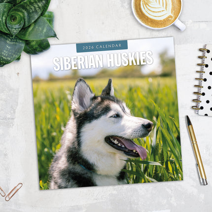 Red Robin Siberian Husky Kalender 2026