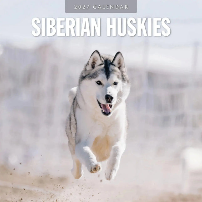 Red Robin Siberian Husky Kalender 2027