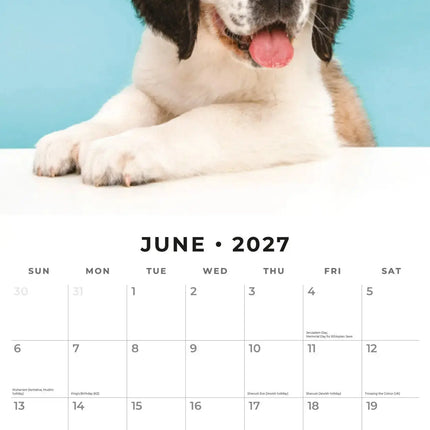Red Robin Sint Bernard Kalender 2027