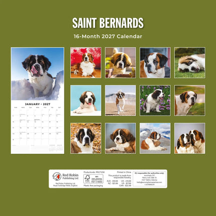 Red Robin Sint Bernard Kalender 2027