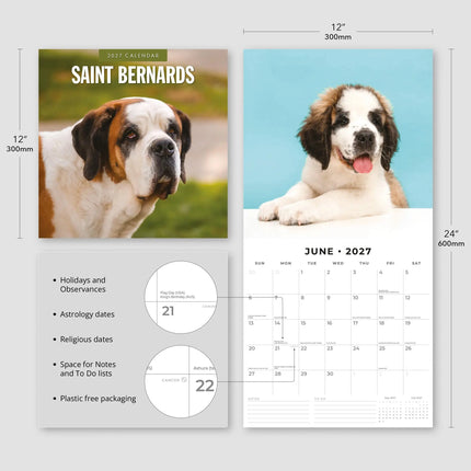Red Robin Sint Bernard Kalender 2027