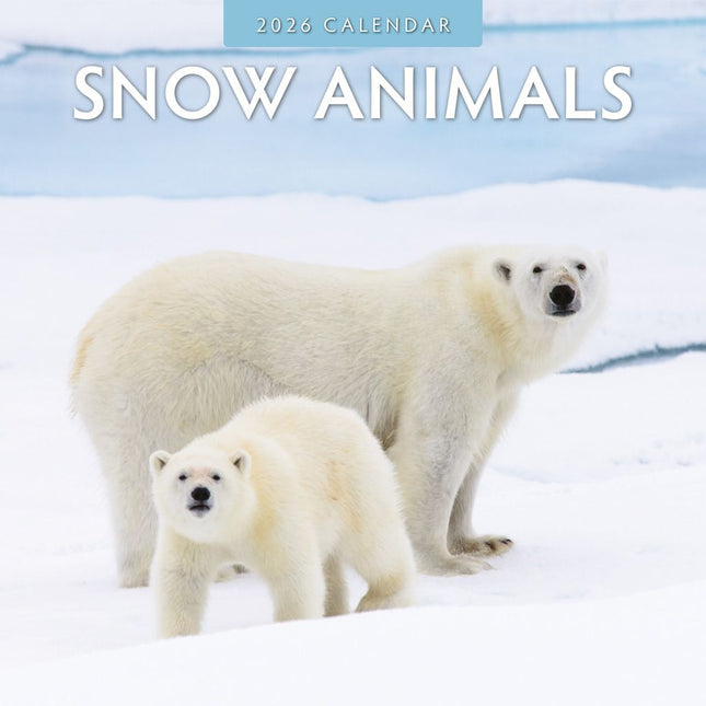 Red Robin Snow Animals Kalender 2026