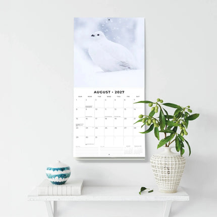 Red Robin Snow Animals Kalender 2027