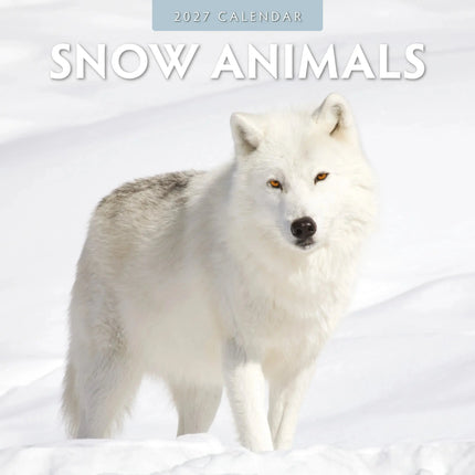 Red Robin Snow Animals Kalender 2027