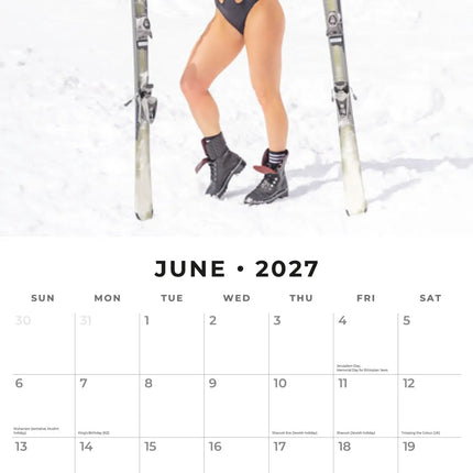 Red Robin Snow Girls Kalender 2027