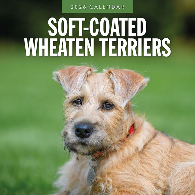 Red Robin Softcoated Wheaten Terrier Kalender 2026