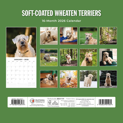 Red Robin Softcoated Wheaten Terrier Kalender 2026