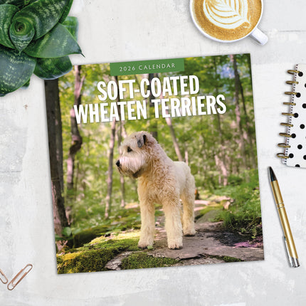 Red Robin Softcoated Wheaten Terrier Kalender 2026