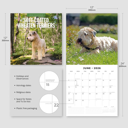 Red Robin Softcoated Wheaten Terrier Kalender 2026